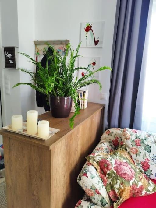 Renovated Apartment With Garden And Parking Space Peraía Exteriör bild