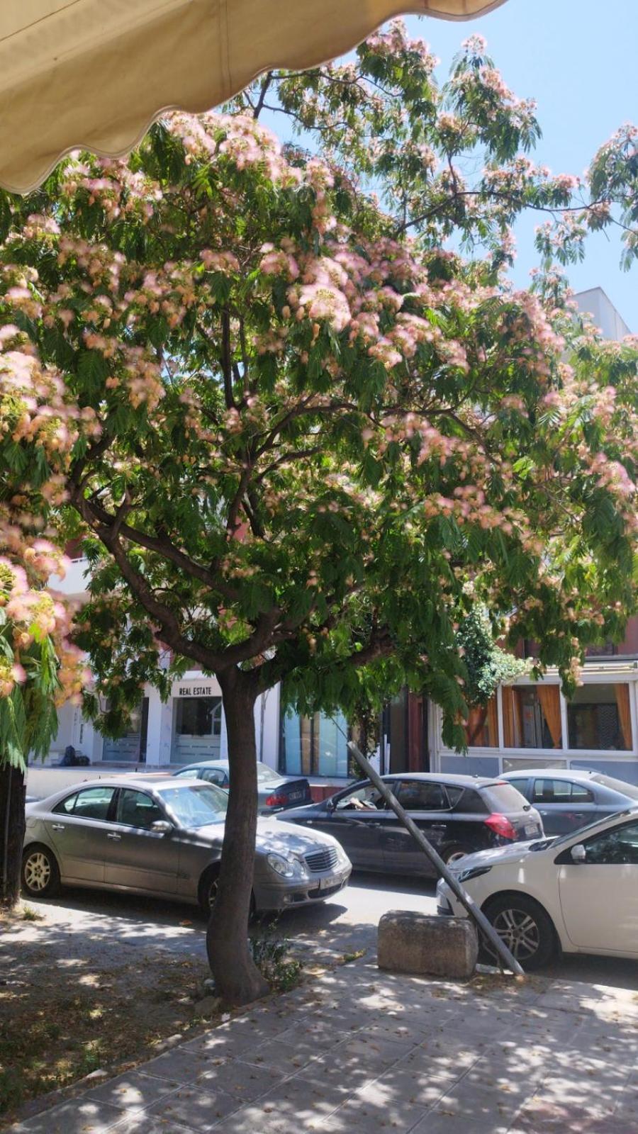 Renovated Apartment With Garden And Parking Space Peraía Exteriör bild